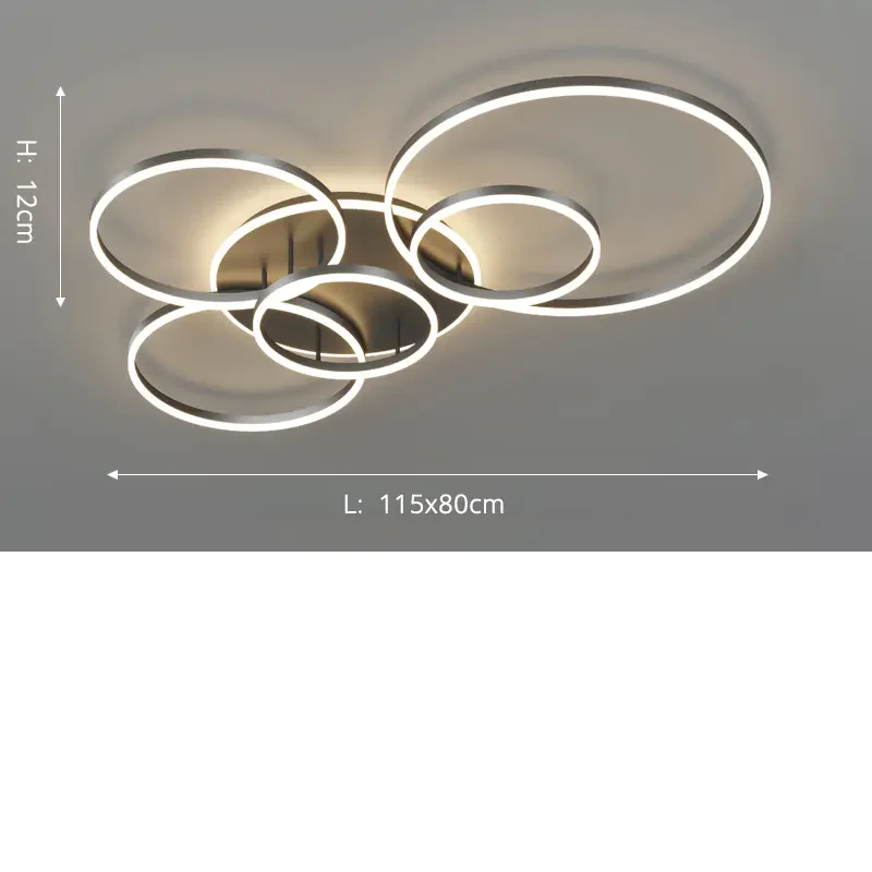 Velia - Moderne Zwarte Plafondlamp